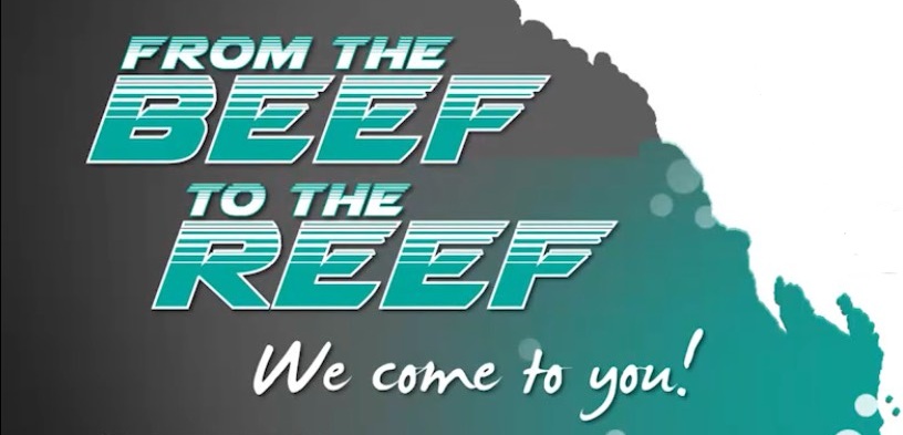 From the beef to the reef